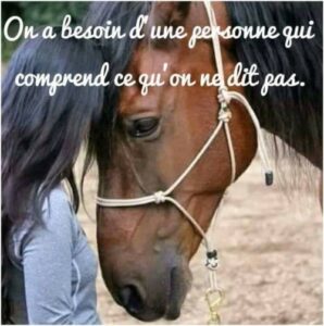 Citation